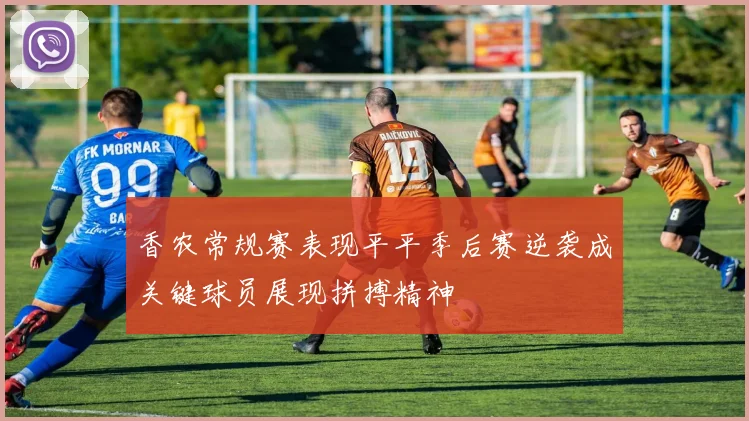 香农常规赛表现平平季后赛逆袭成关键球员展现拼搏精神